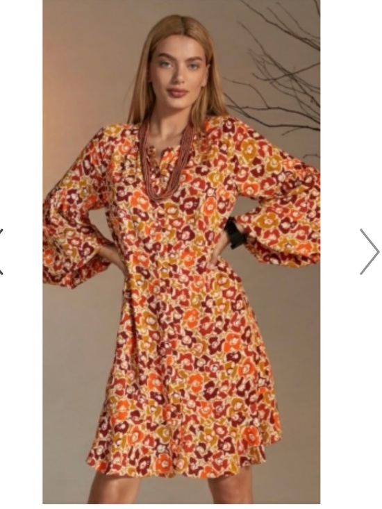 CAbi Dresses & Skirts - Cabi Daydream Dress Size XL Floral Cottagecore